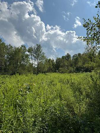 10 Acres of Agricultural Land for Sale in Masonville, New York