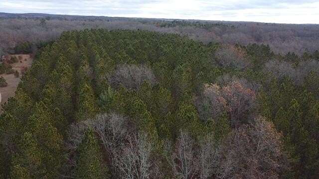 9.1 Acres of Land for Sale in Brethren, Michigan