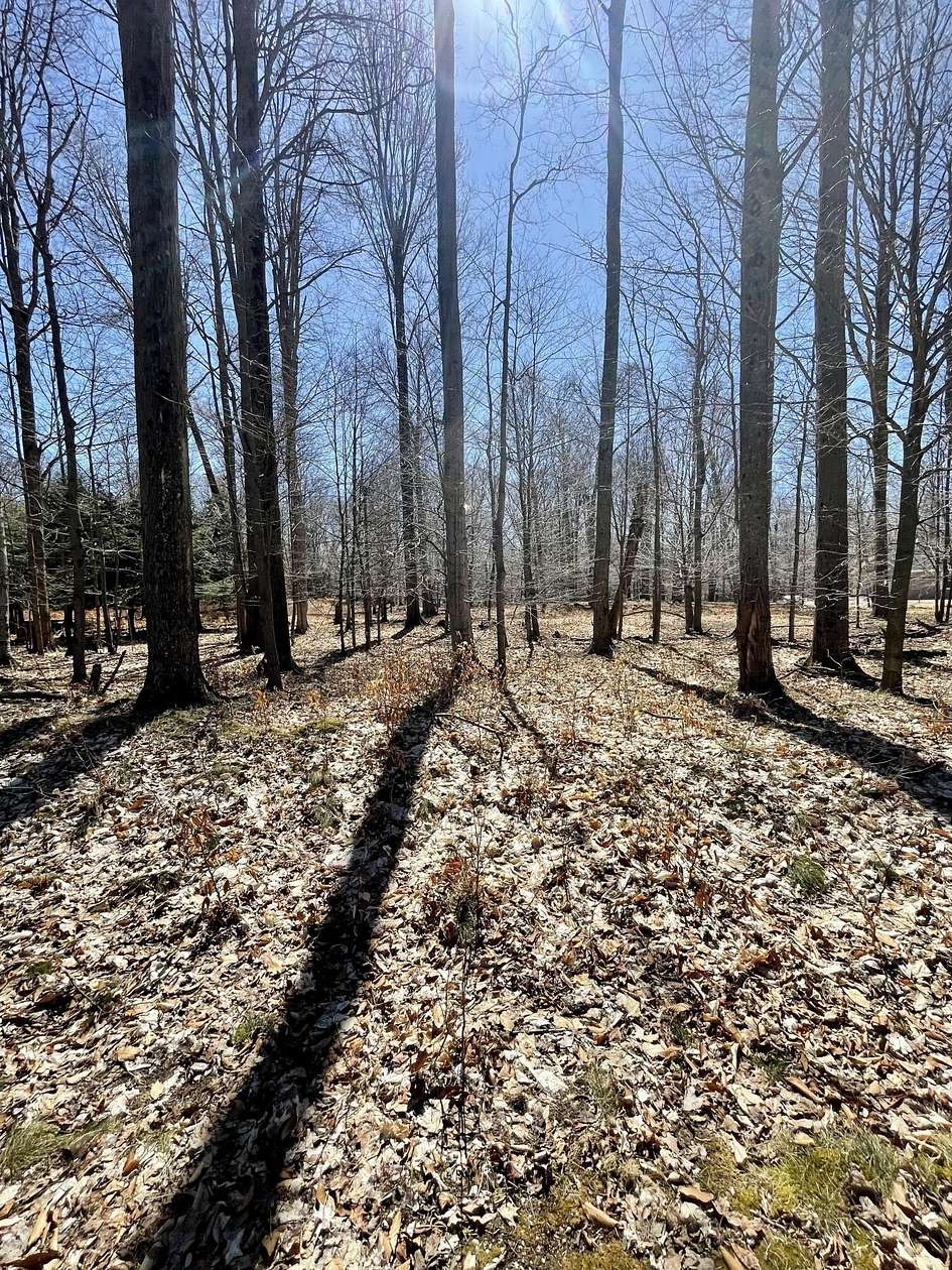 1.5 Acres of Residential Land for Sale in Ludington, Michigan