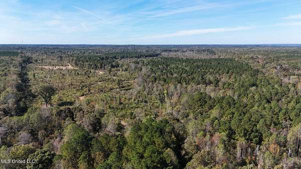 344 Acres of Recreational Land for Sale in Philadelphia, Mississippi