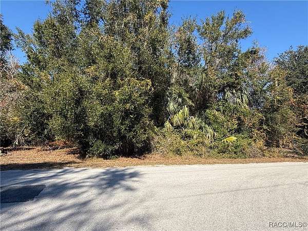 1.16 Acres of Residential Land for Sale in Crystal River, Florida