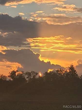 0.8 Acres of Residential Land for Sale in Webster, Florida