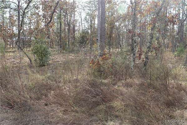 0.24 Acres of Residential Land for Sale in Dunnellon, Florida