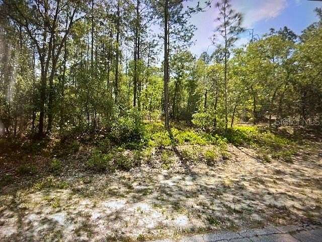 1.13 Acres of Residential Land for Sale in Beverly Hills, Florida