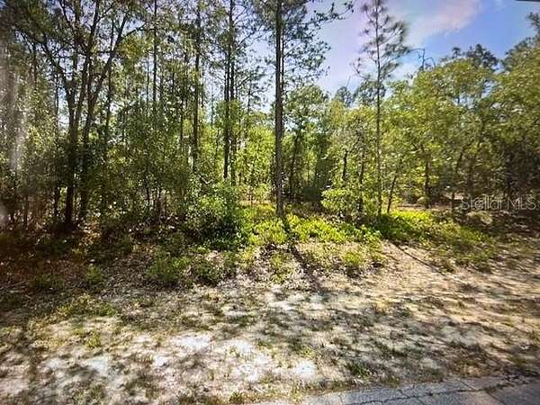 1.13 Acres of Residential Land for Sale in Beverly Hills, Florida