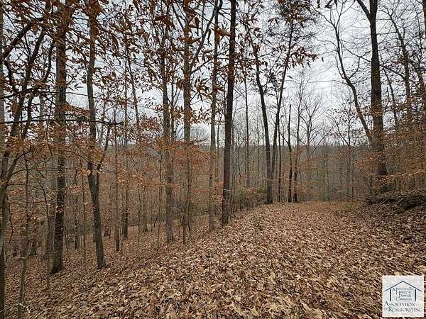 20.9 Acres of Land for Sale in Bassett, Virginia
