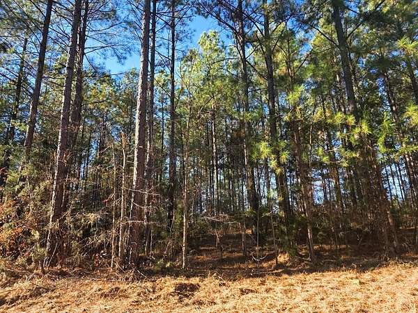 121 Acres of Recreational Land for Sale in Meherrin, Virginia