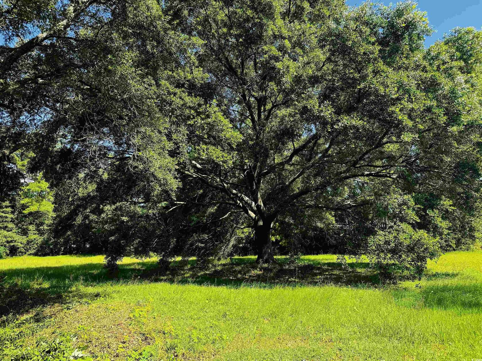 0.61 Acres of Residential Land for Sale in Georgetown, South Carolina