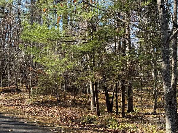 1.88 Acres of Land for Sale in Fairview, North Carolina