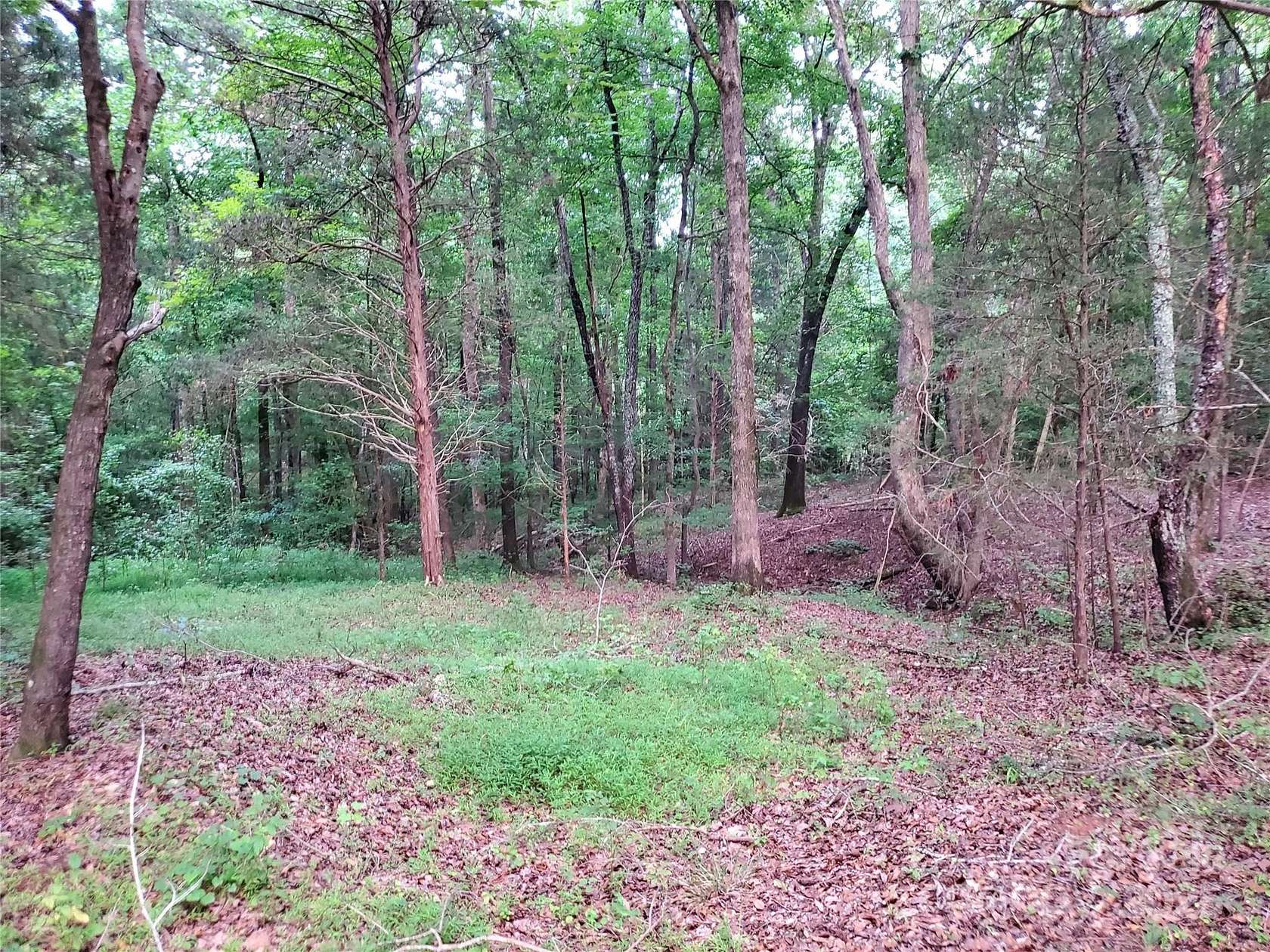 10 Acres of Residential Land for Sale in Richburg, South Carolina