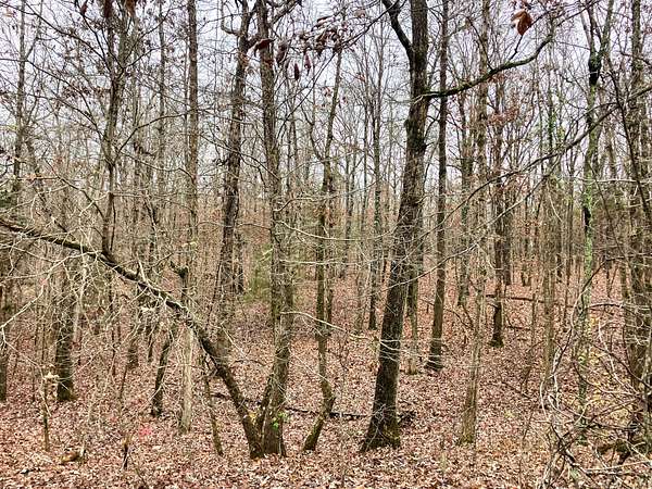 69 Acres of Recreational Land for Sale in Tecumseh, Missouri