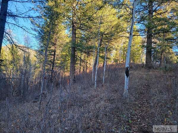 1.76 Acres of Residential Land for Sale in Irwin, Idaho