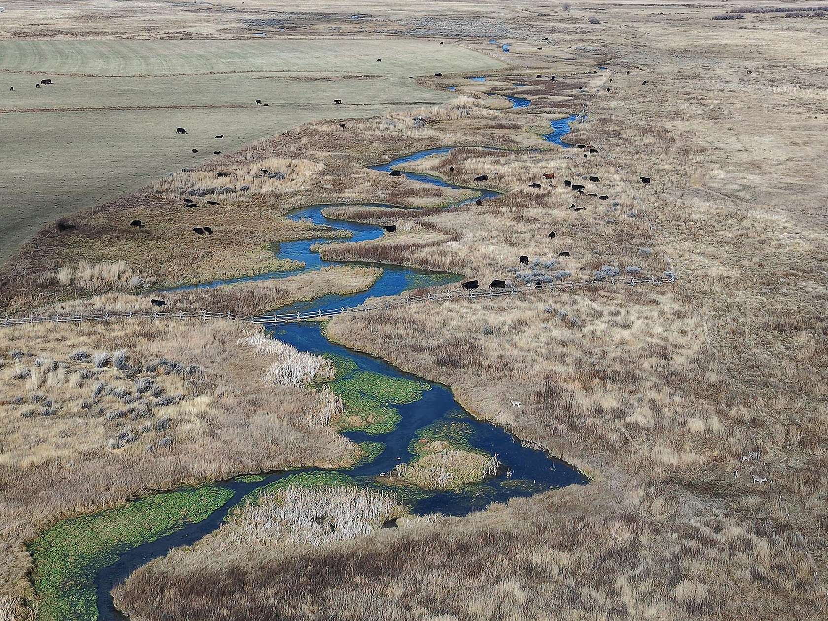 1,480 Acres of Land for Sale in Challis, Idaho