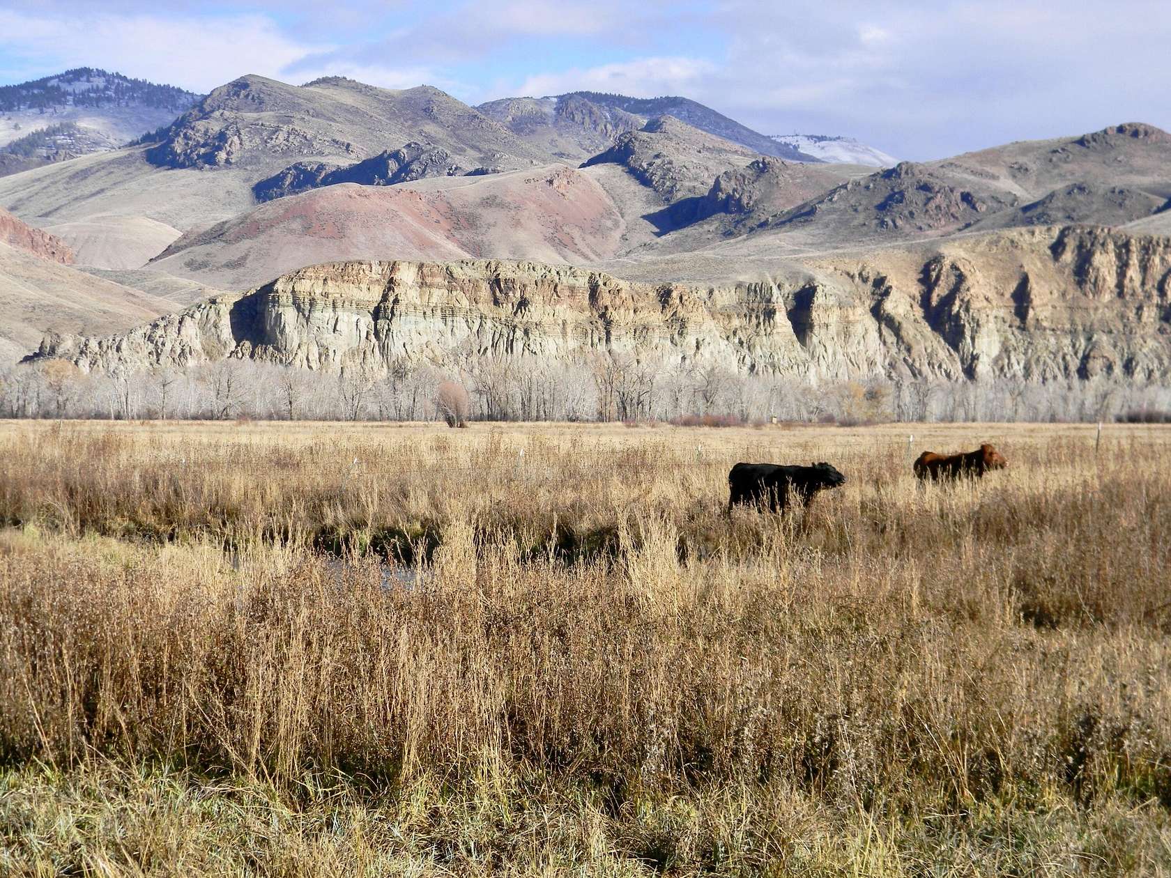 1,480 Acres of Land with Home for Sale in Challis, Idaho