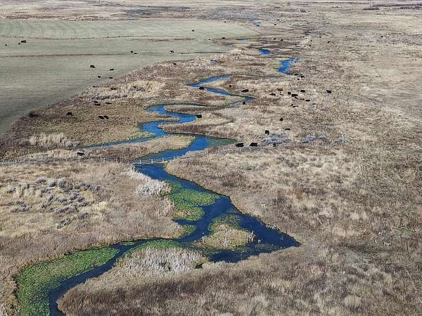 1,480 Acres of Land for Sale in Challis, Idaho