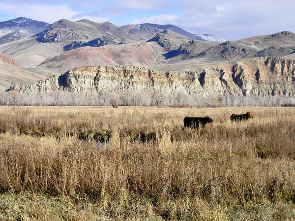 1,480 Acres of Land with Home for Sale in Challis, Idaho