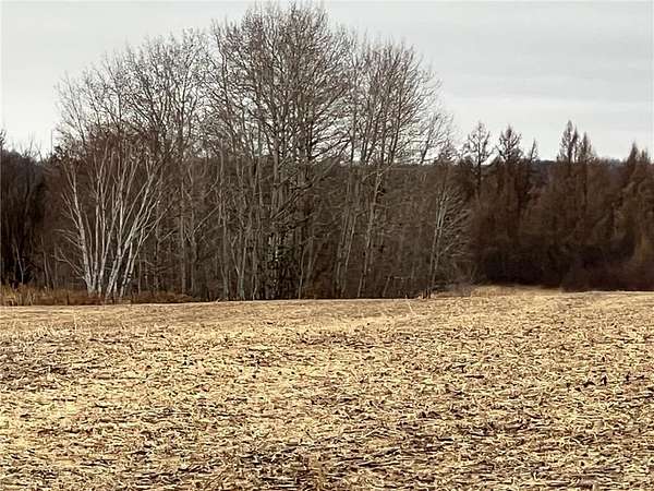 60 Acres of Recreational Land & Farm for Sale in Mission Creek Township, Minnesota