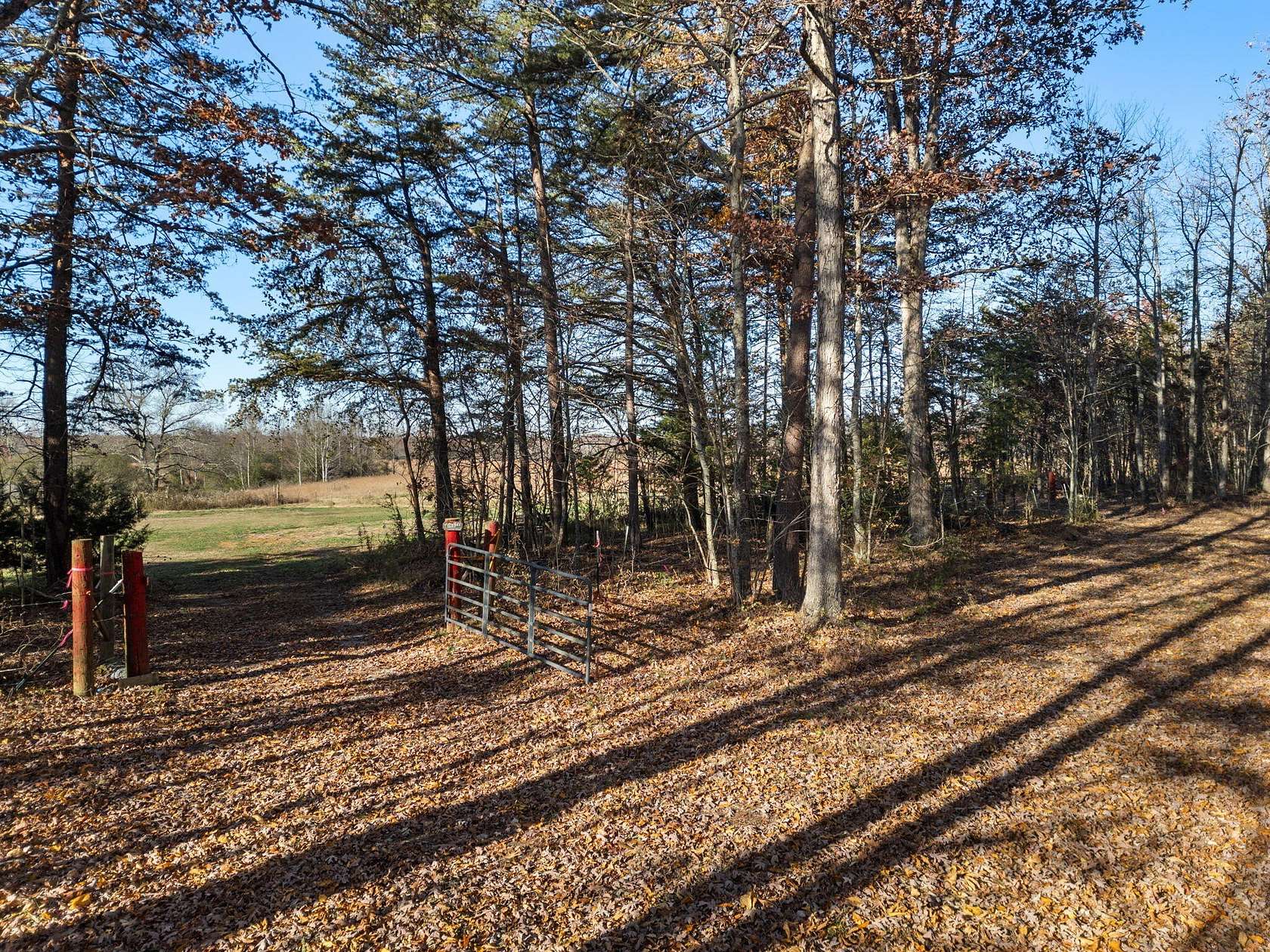 44.7 Acres of Land for Sale in Graysville, Tennessee