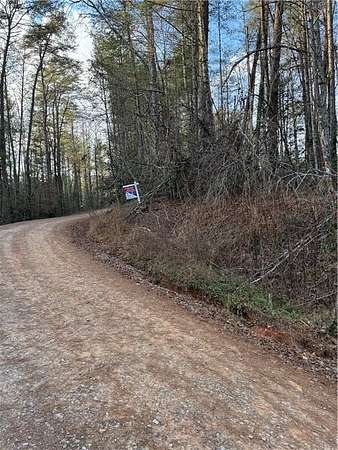 1 Acre of Residential Land for Sale in Ellijay, Georgia