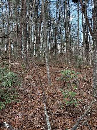 1 Acre of Residential Land for Sale in Ellijay, Georgia