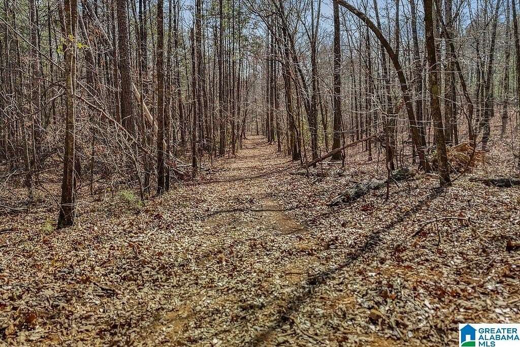 20.2 Acres of Recreational Land for Sale in Columbiana, Alabama