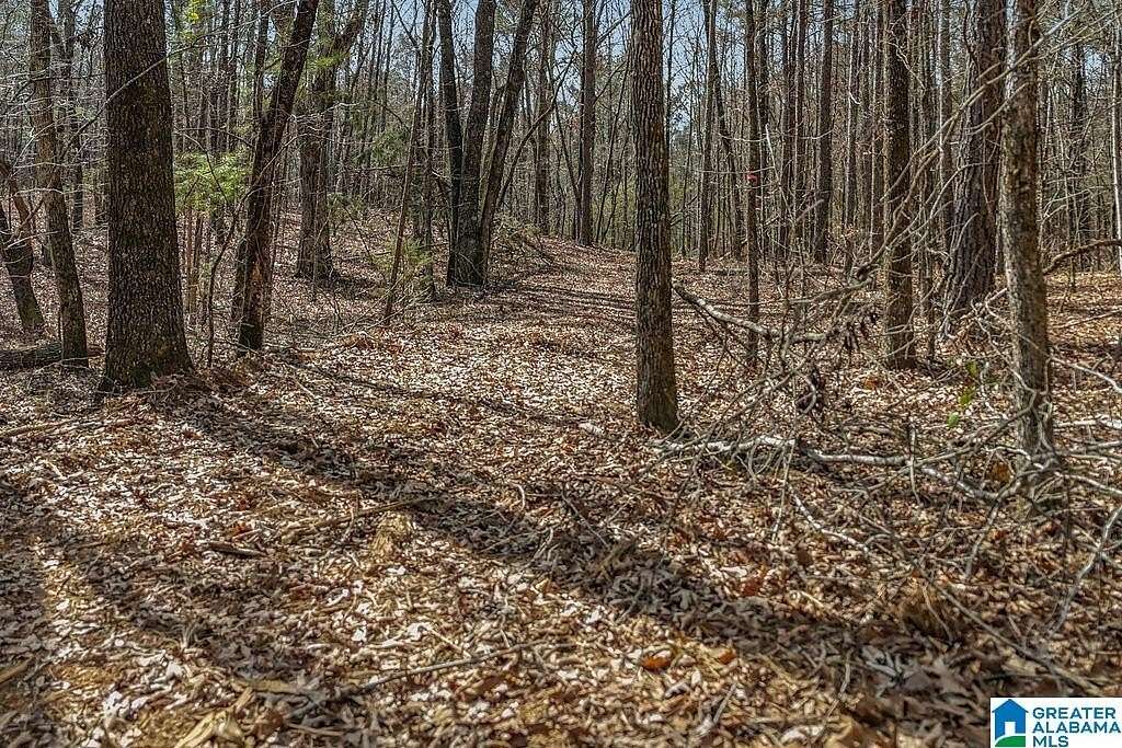 20.2 Acres of Recreational & Residential Land for Sale in Columbiana, Alabama