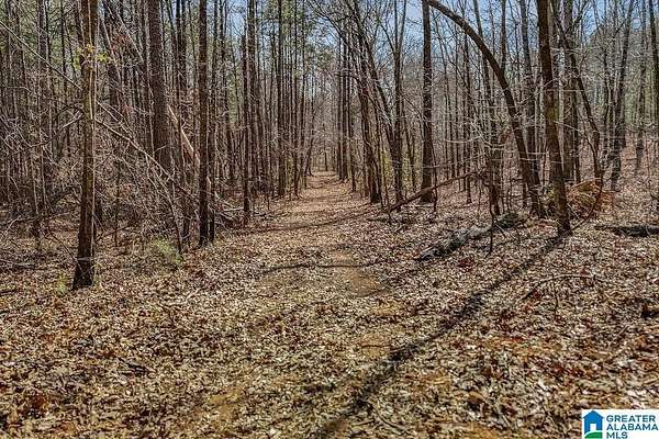 20.2 Acres of Recreational Land for Sale in Columbiana, Alabama