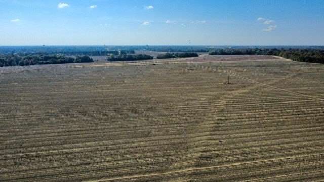 391 Acres of Land for Sale in Headland, Alabama