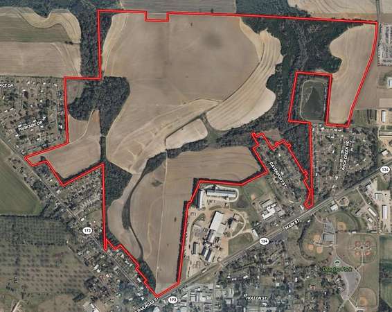 391 Acres of Land for Sale in Headland, Alabama