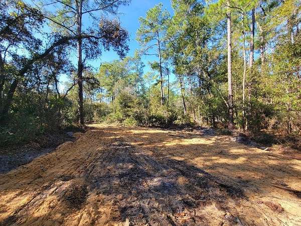 4.2 Acres of Residential Land for Sale in Webster, Florida