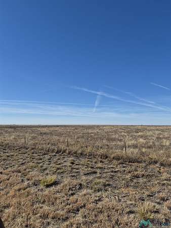 315 Acres of Land for Sale in Pep, New Mexico