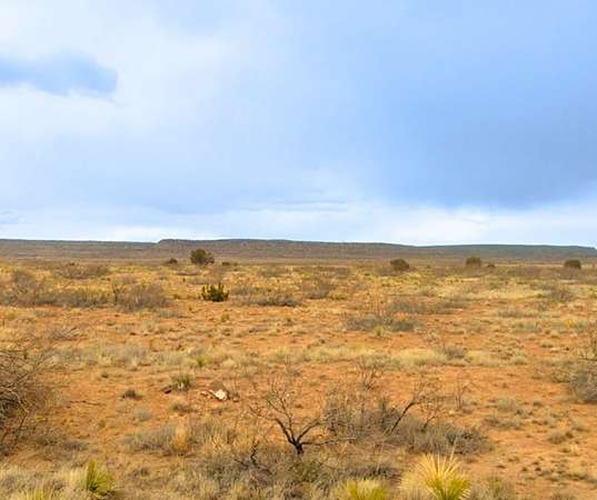 5.3 Acres of Residential Land for Sale in Conchas Dam, New Mexico