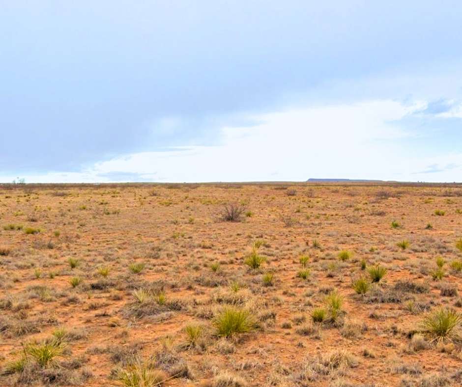 5 Acres of Residential Land for Sale in Conchas Dam, New Mexico