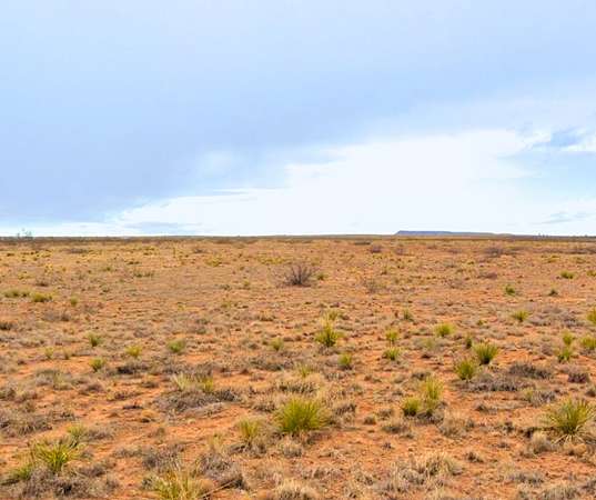 5 Acres of Residential Land for Sale in Conchas Dam, New Mexico