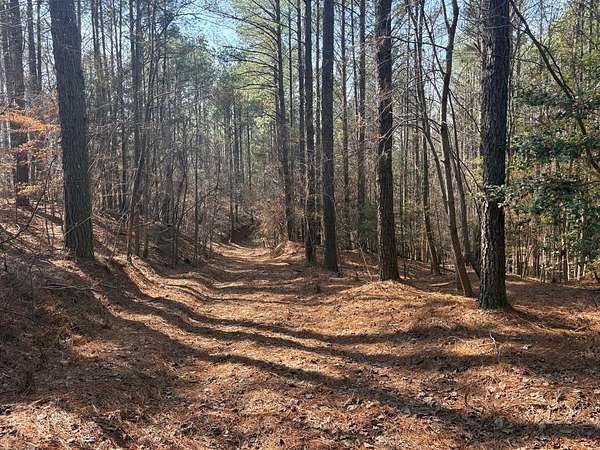 30 Acres of Recreational Land for Sale in Mount Gilead, North Carolina