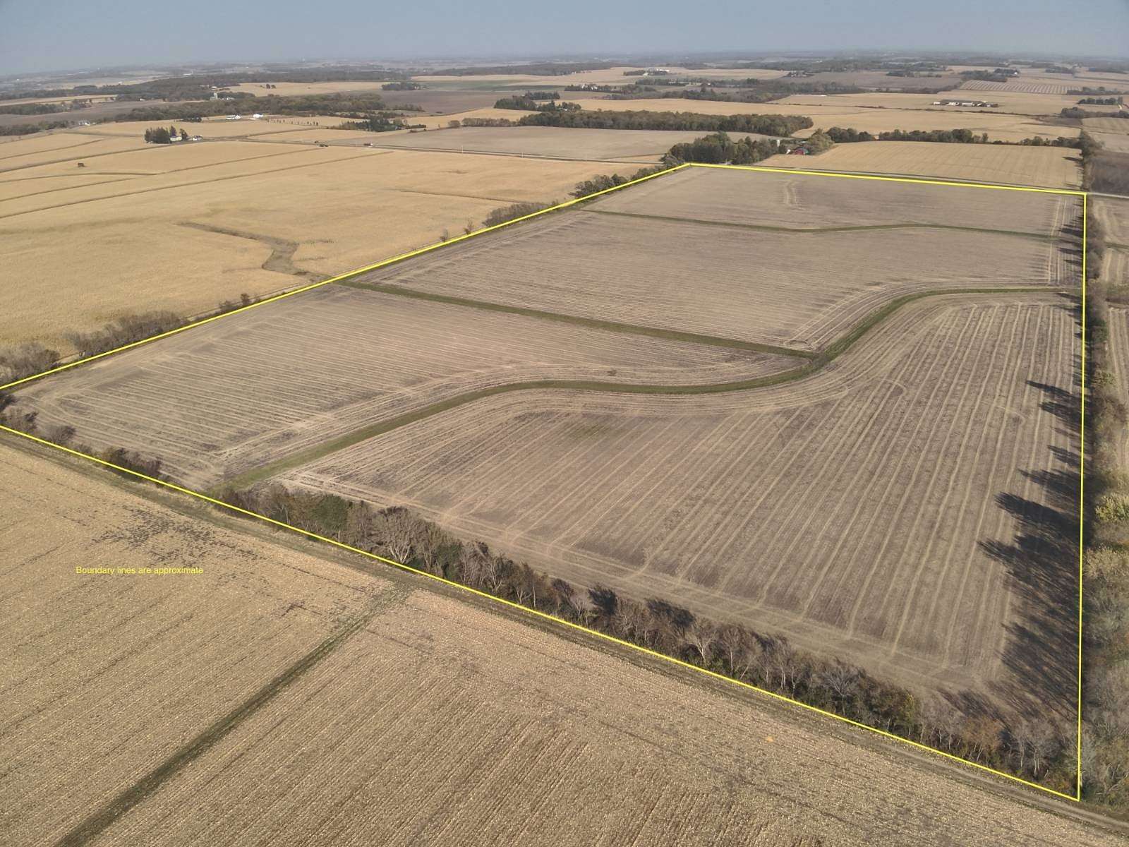 171 Acres of Agricultural Land for Sale in Kasson, Minnesota