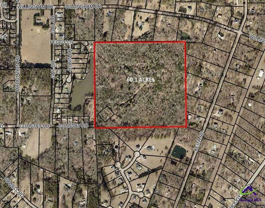 60.1 Acres of Land for Sale in Bonaire, Georgia