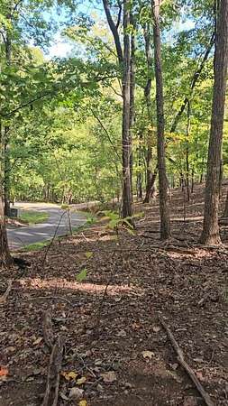 0.96 Acres of Residential Land for Sale in Big Canoe, Georgia