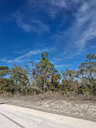0.5 Acres of Residential Land for Sale in Weeki Wachee, Florida