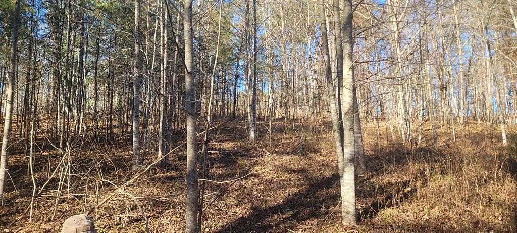 1.55 Acres of Land for Sale in Hayesville, North Carolina