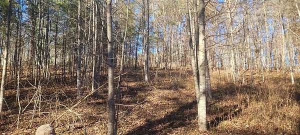 1.55 Acres of Land for Sale in Hayesville, North Carolina