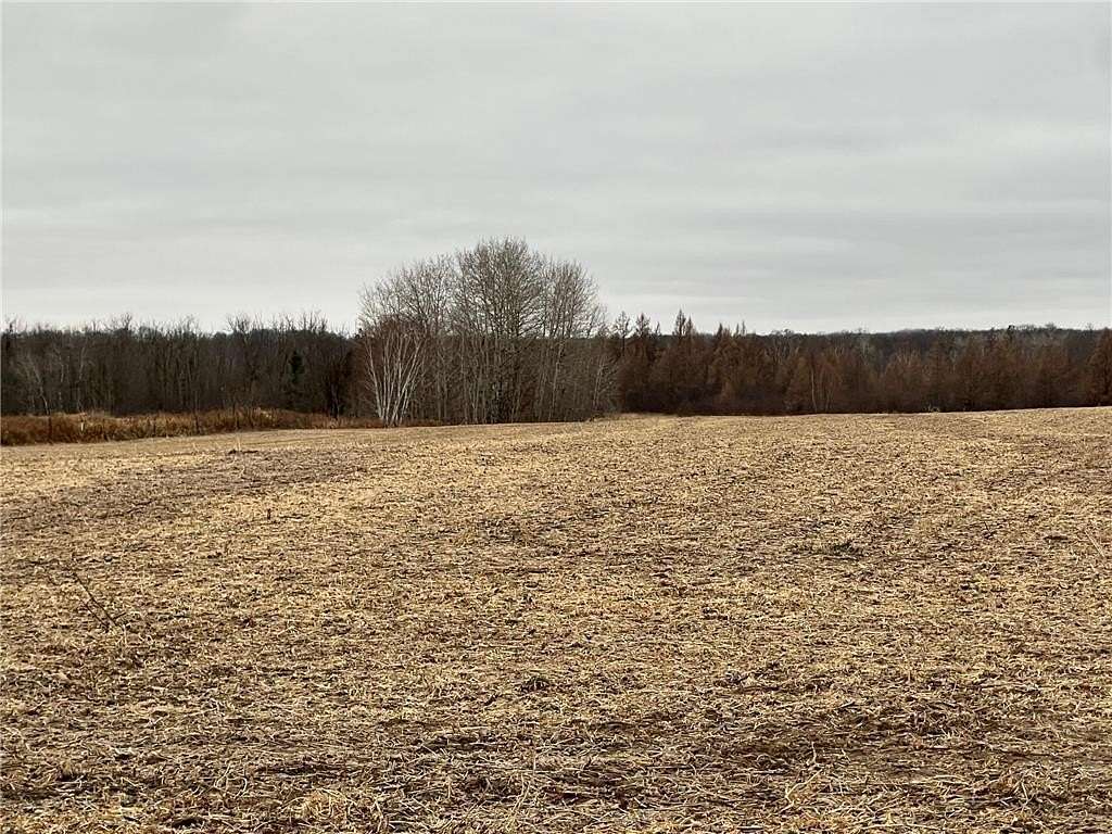 20 Acres of Recreational Land & Farm for Sale in Mission Creek Township, Minnesota