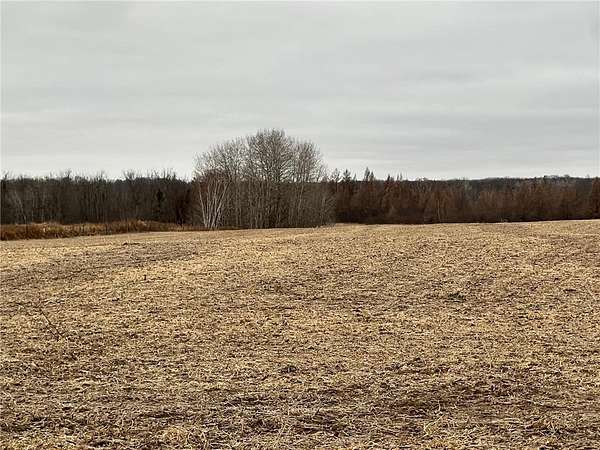 20 Acres of Recreational Land & Farm for Sale in Mission Creek Township, Minnesota