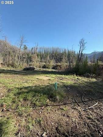 0.38 Acres of Residential Land for Sale in Blue River, Oregon