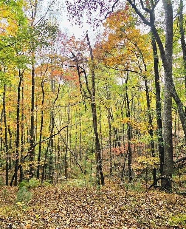 14 Acres of Recreational Land for Sale in North Wilkesboro, North Carolina