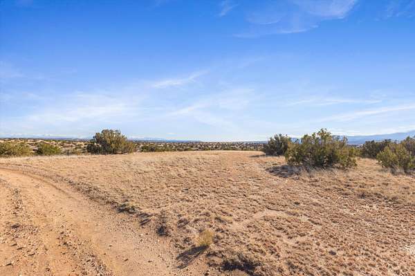 10 Acres of Land for Sale in Medanales, New Mexico