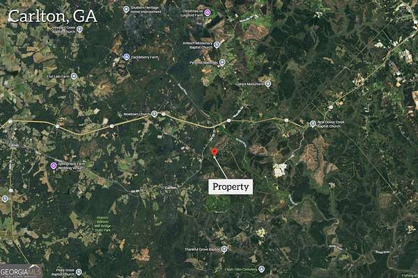 3.67 Acres of Residential Land for Sale in Carlton, Georgia