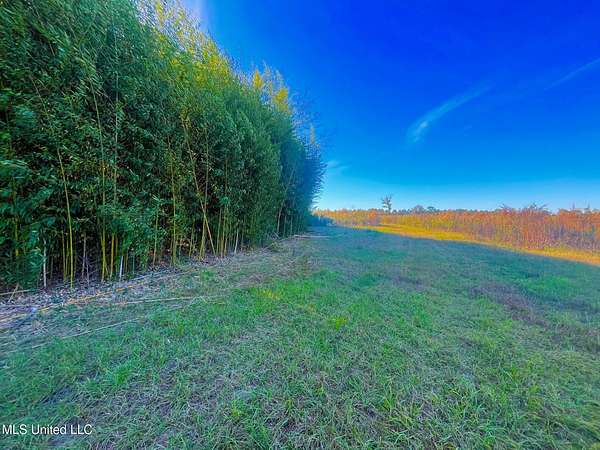 76.5 Acres of Land for Sale in Sandy Hook, Mississippi
