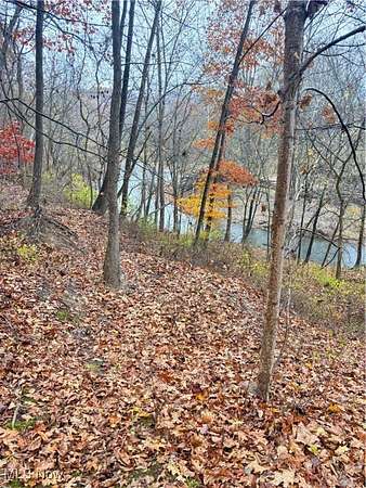 6.73 Acres of Land for Sale in Kimbolton, Ohio