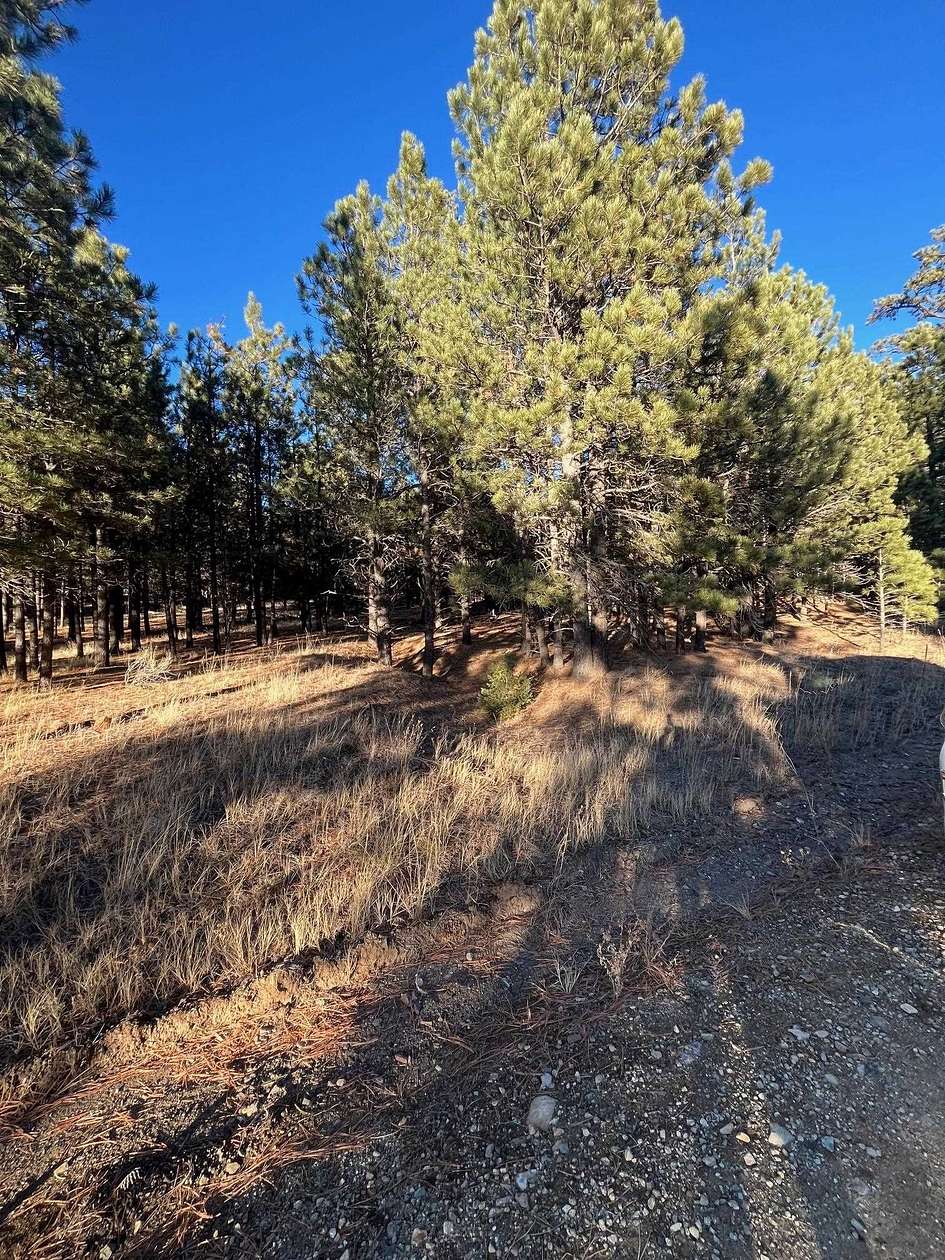 2.3 Acres of Land for Sale in Black Lake, New Mexico